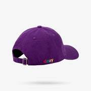 Purple Rainbow Hat (One-Size)